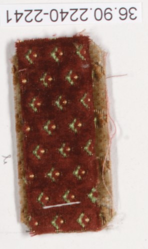 Sartorial Specimen