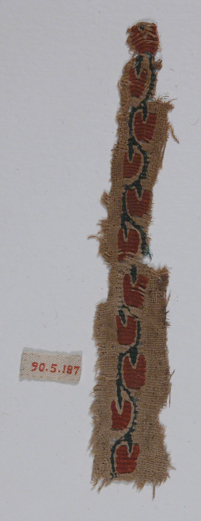 Sartorial Specimen