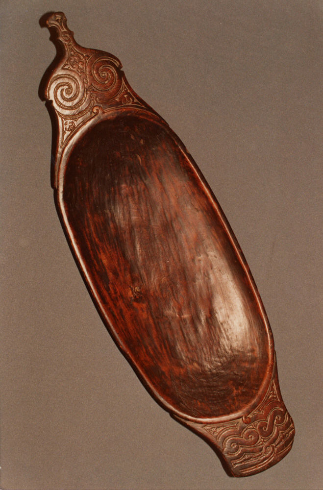 Sartorial Specimen