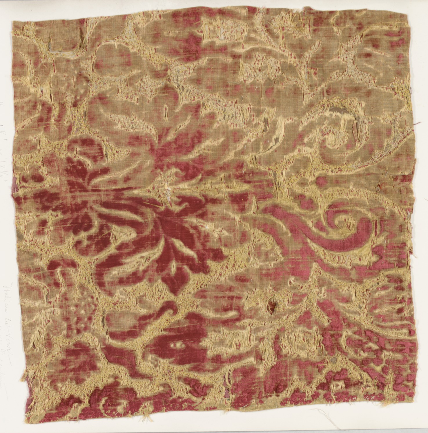 Sartorial Specimen