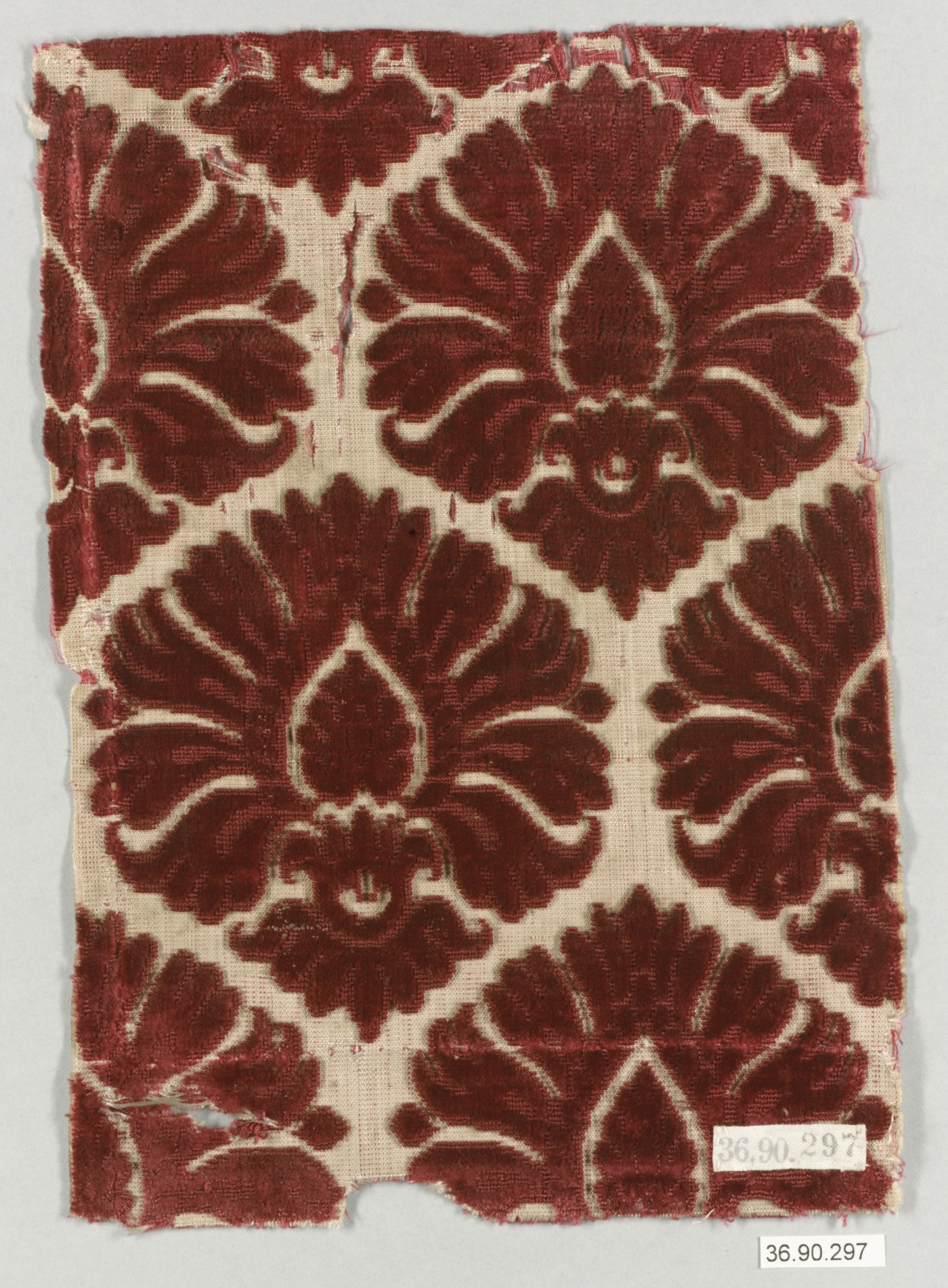 Sartorial Specimen