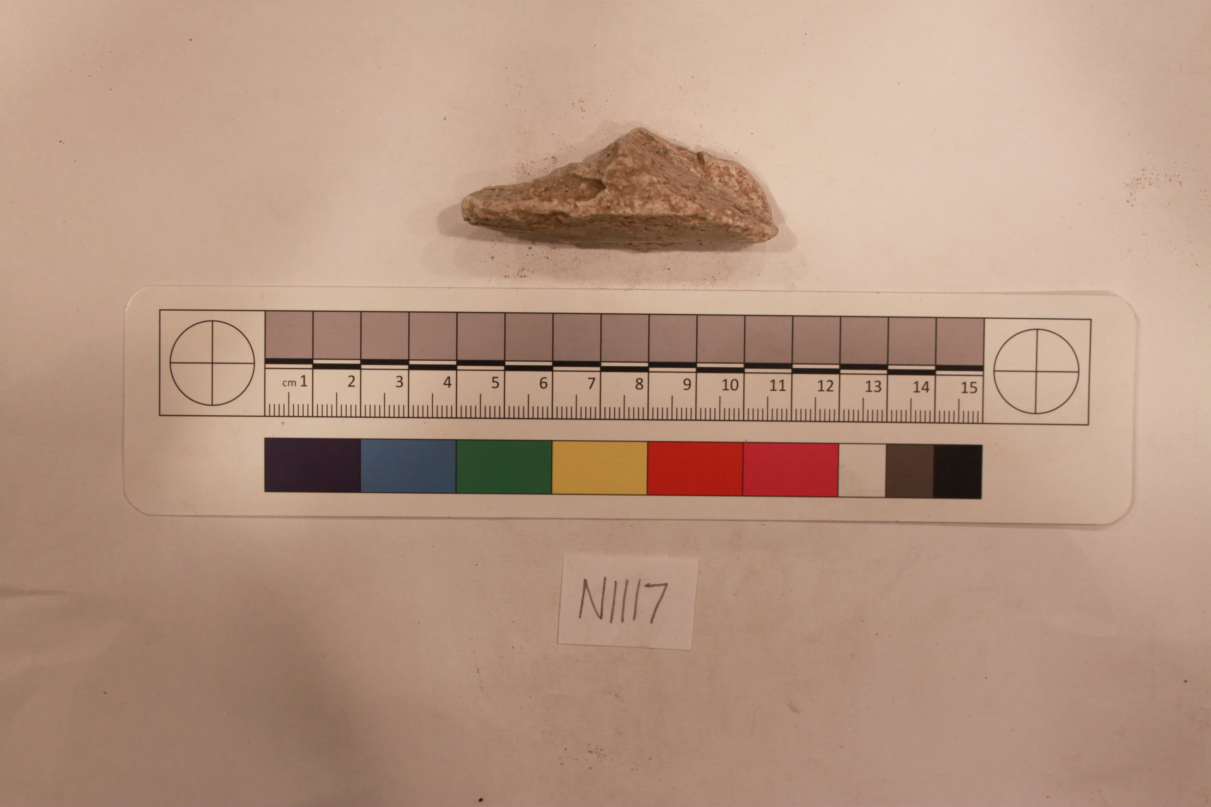 Sartorial Specimen