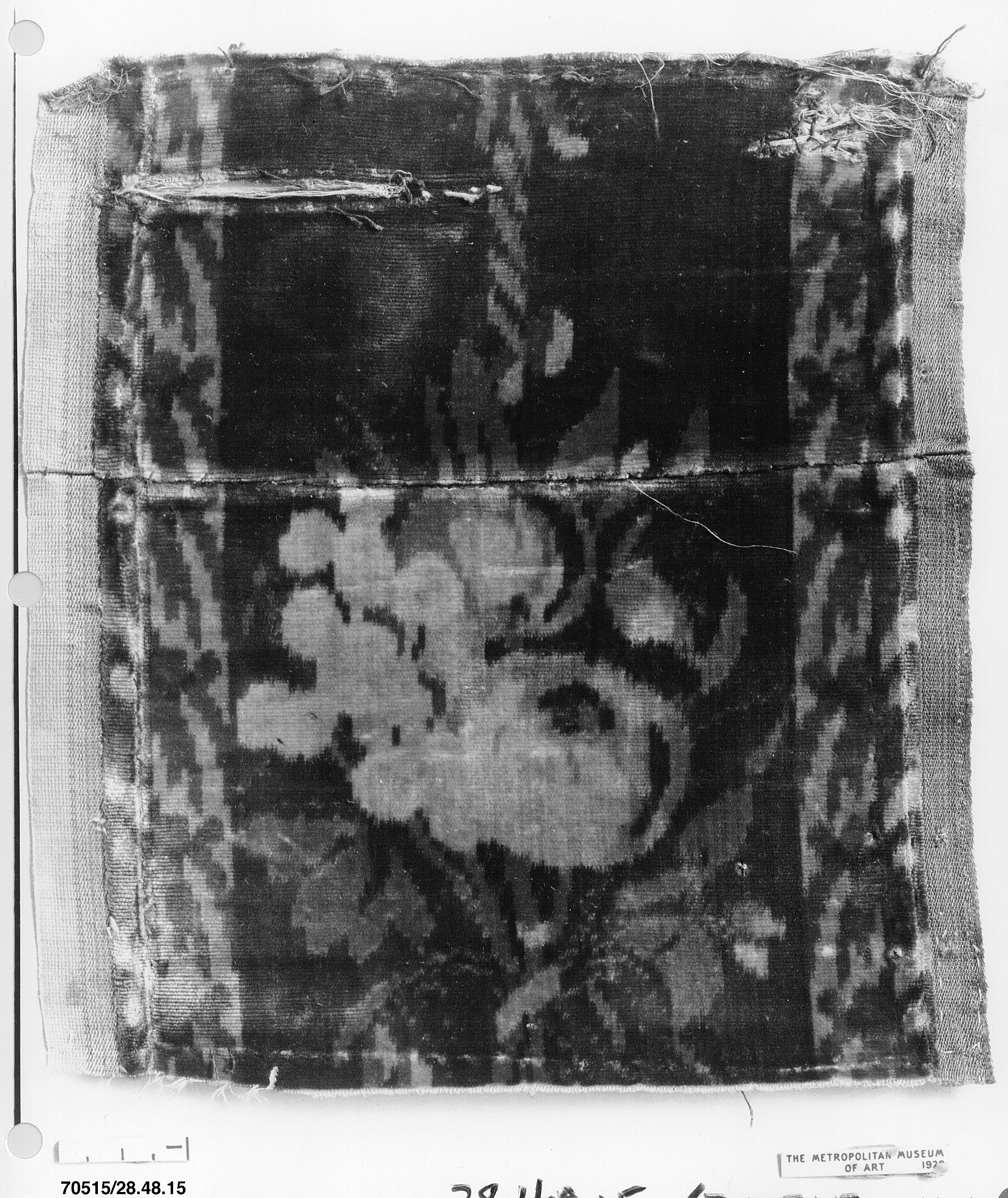 Sartorial Specimen