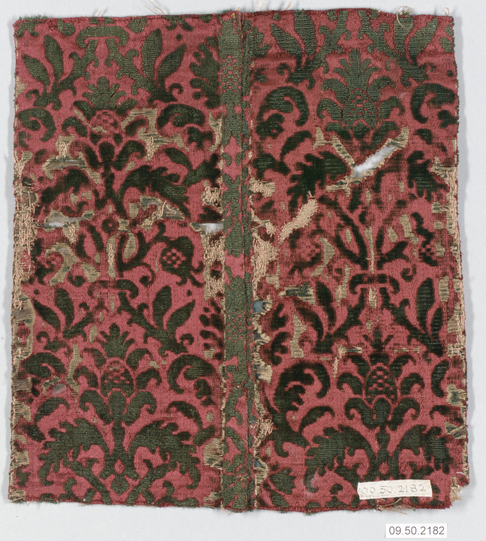 Sartorial Specimen