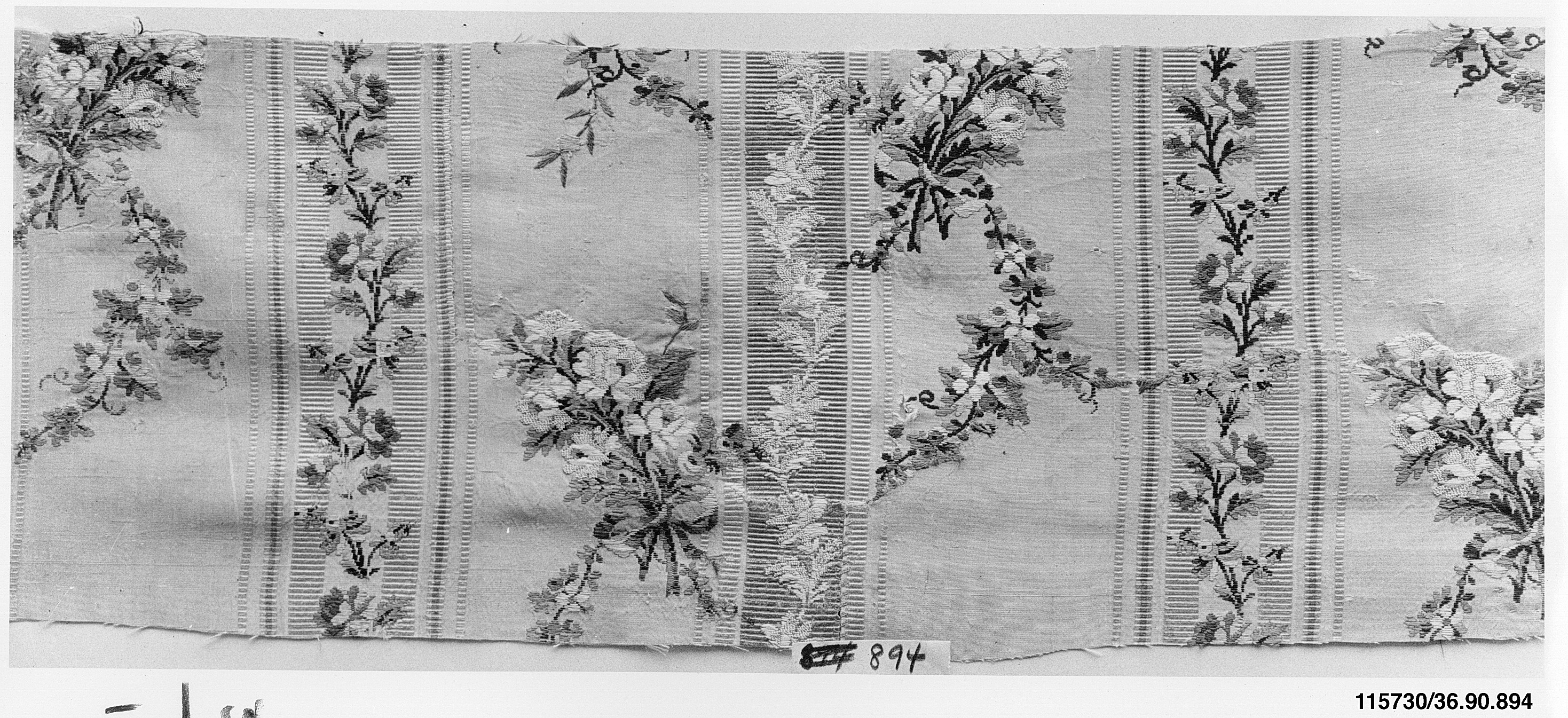 Sartorial Specimen