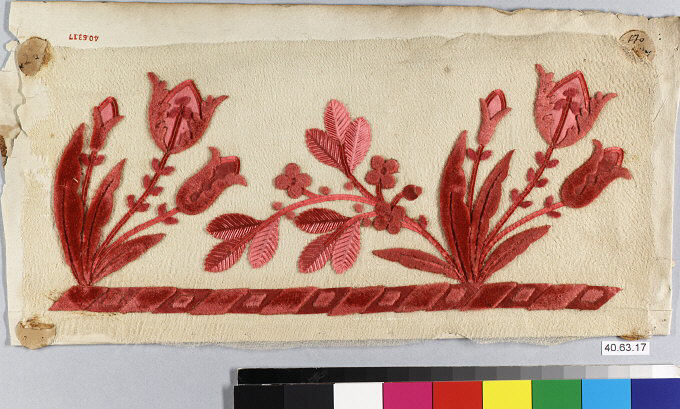 Sartorial Specimen