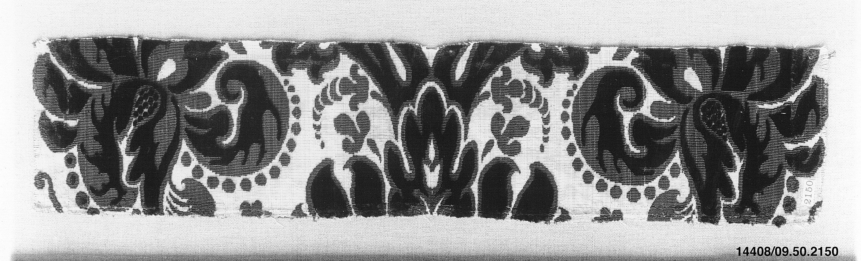 Sartorial Specimen