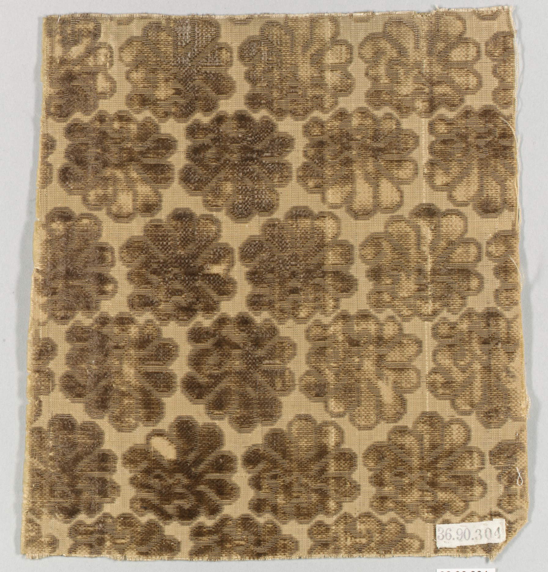 Sartorial Specimen