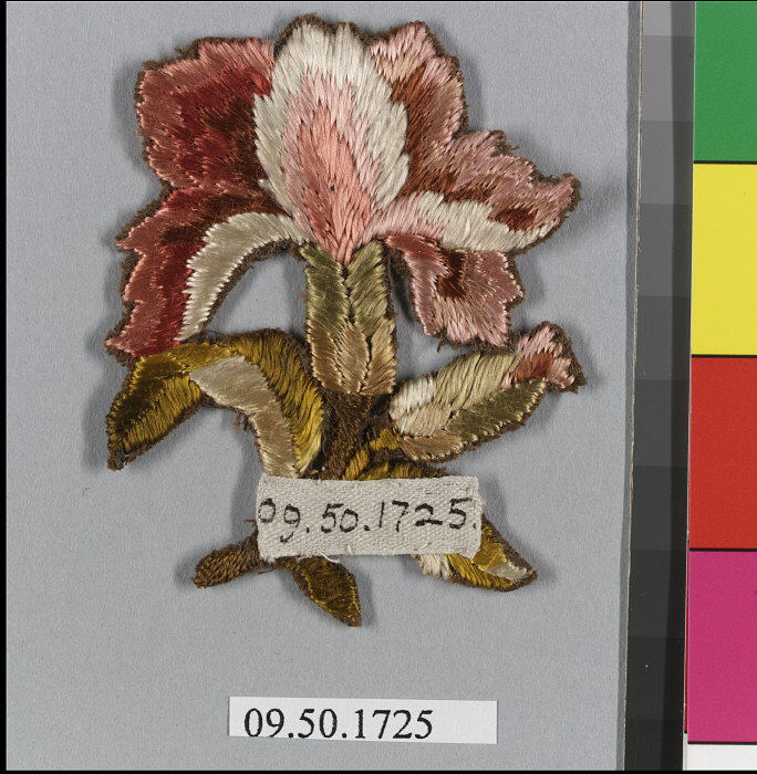 Sartorial Specimen