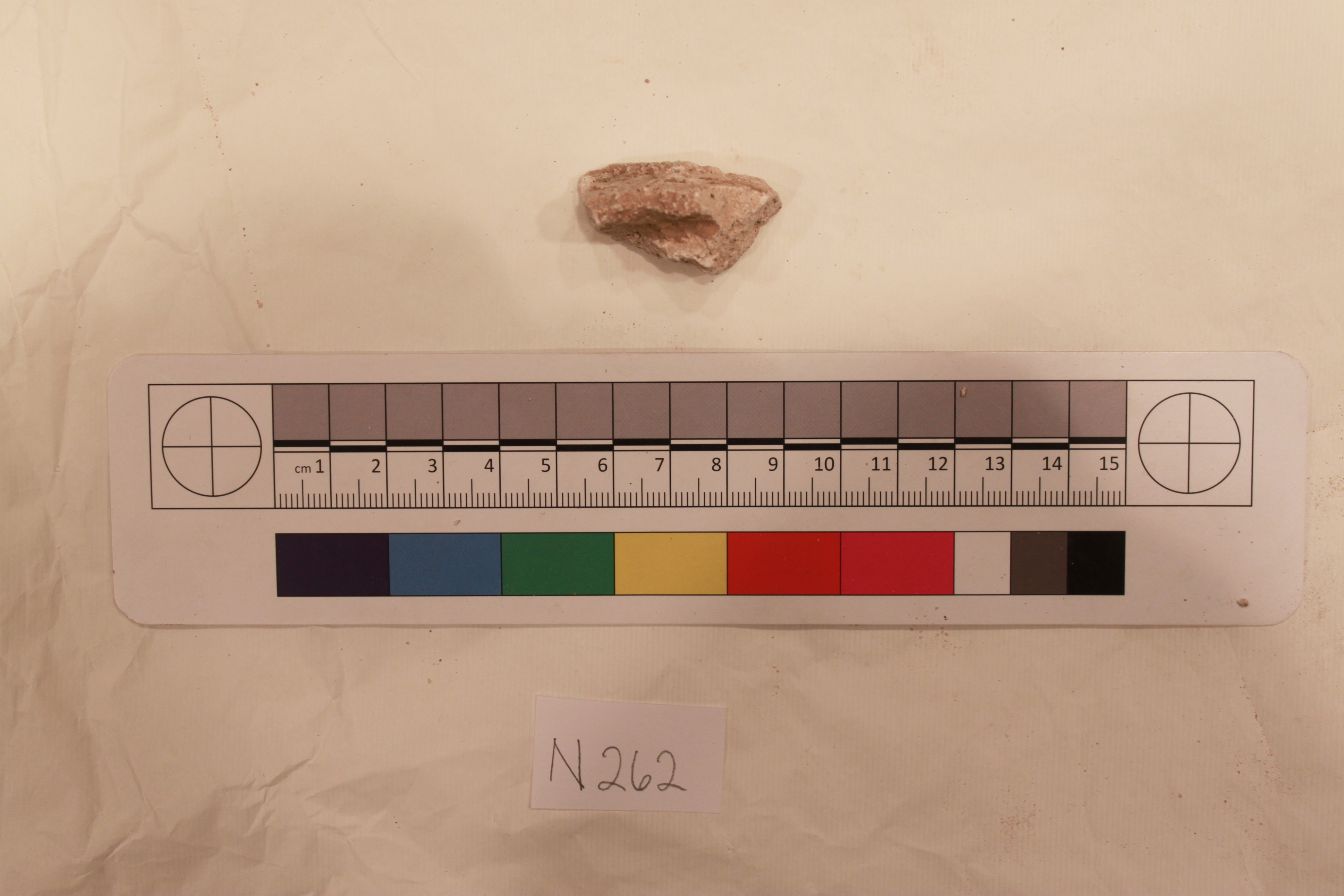 Sartorial Specimen