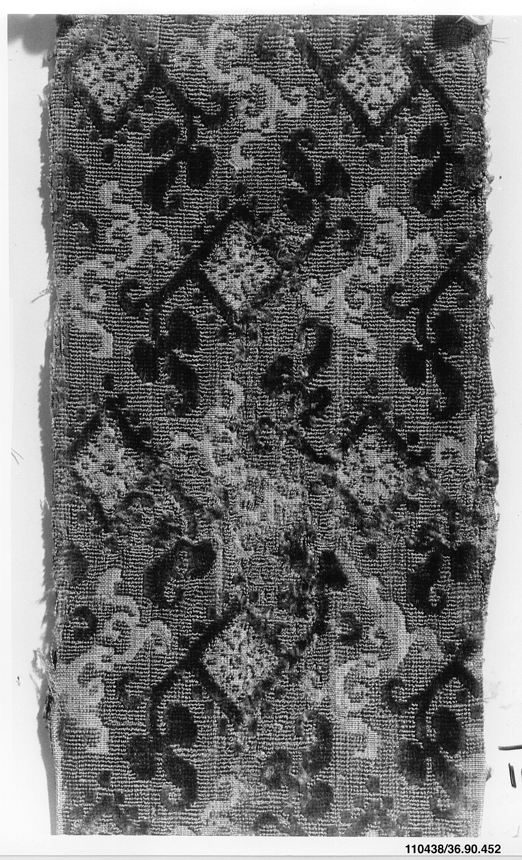 Sartorial Specimen