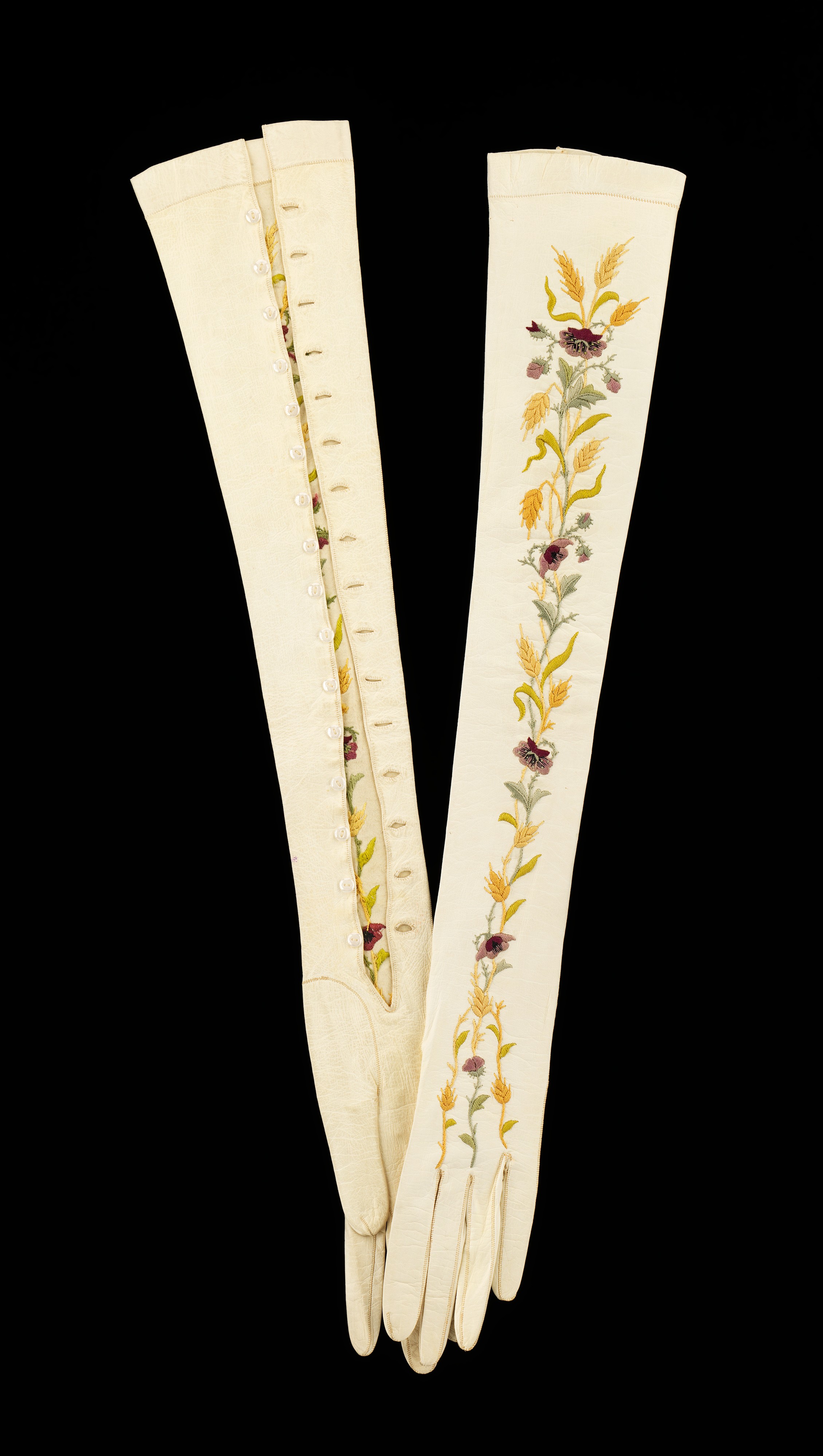 Sartorial Specimen