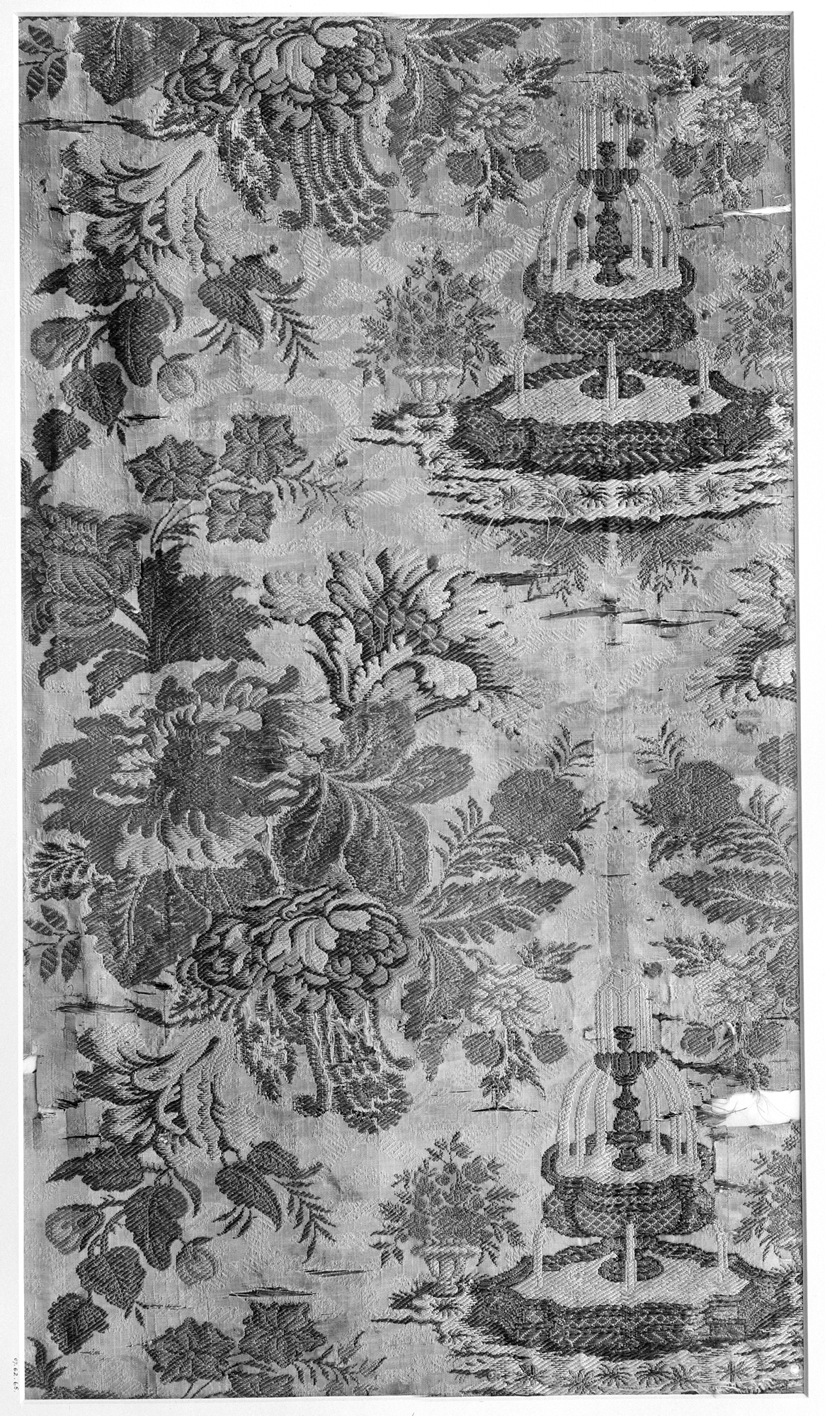 Sartorial Specimen
