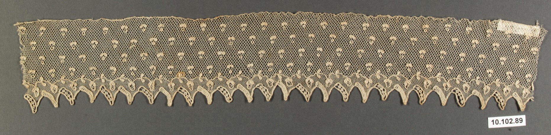 Sartorial Specimen