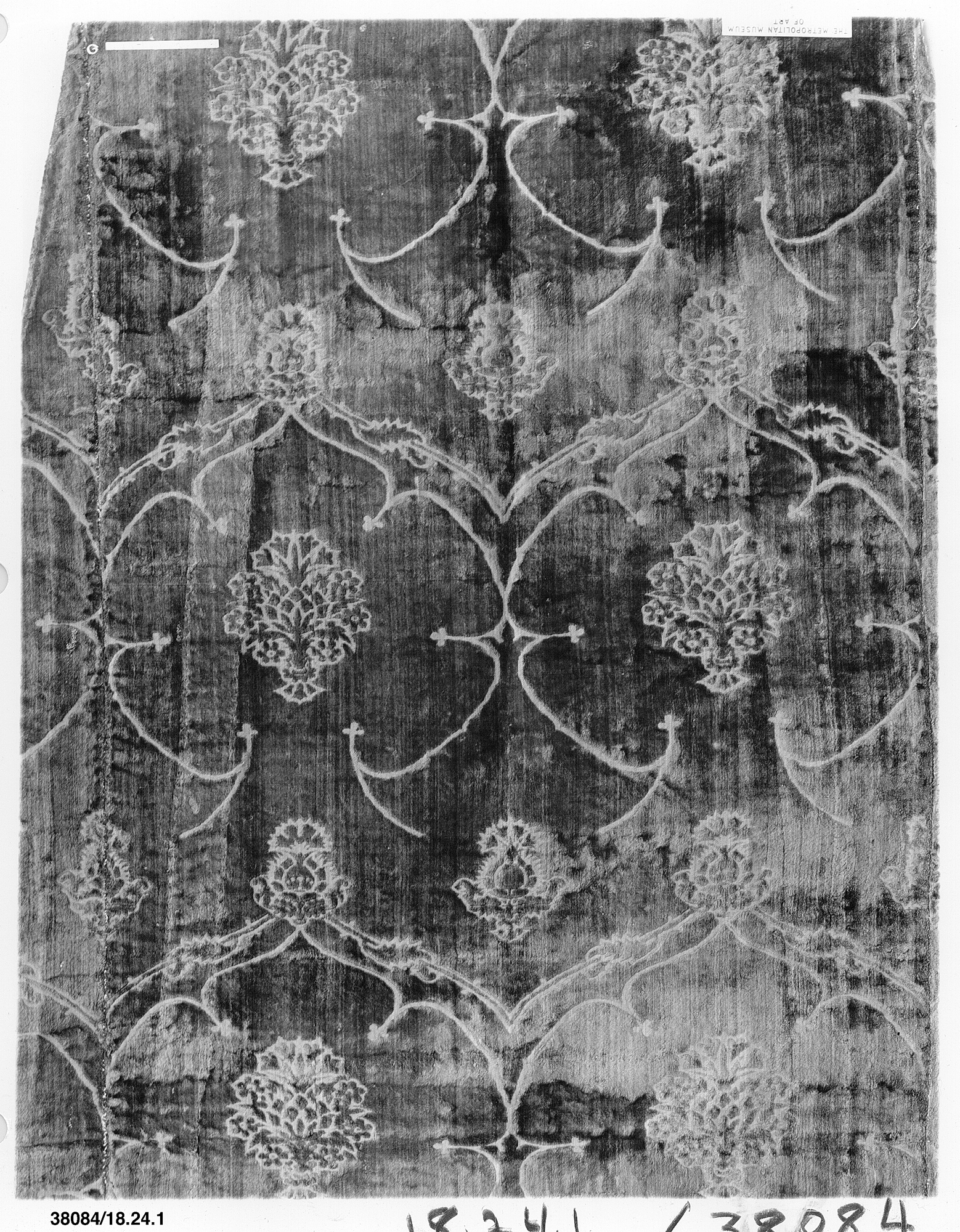 Sartorial Specimen