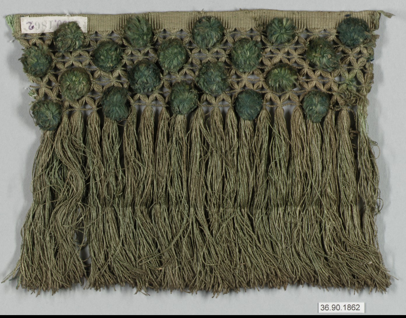 Sartorial Specimen