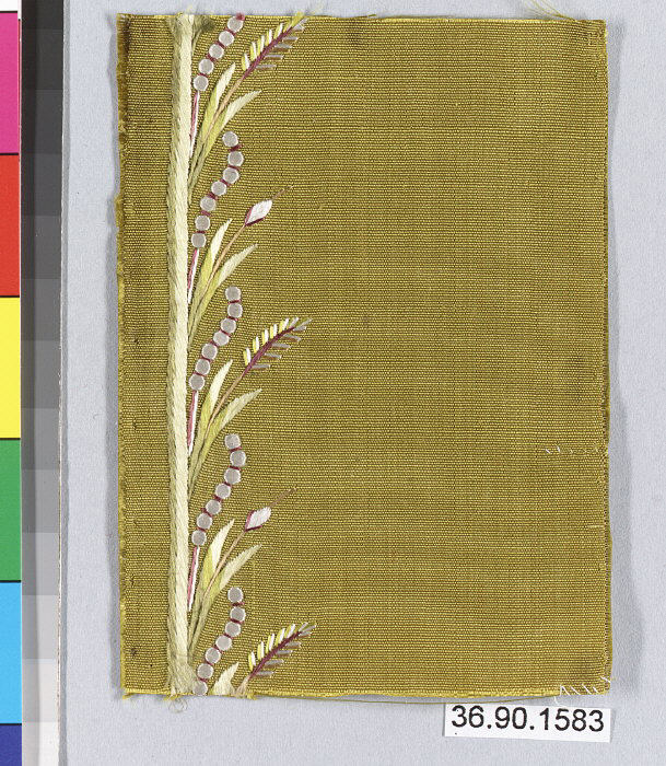Sartorial Specimen