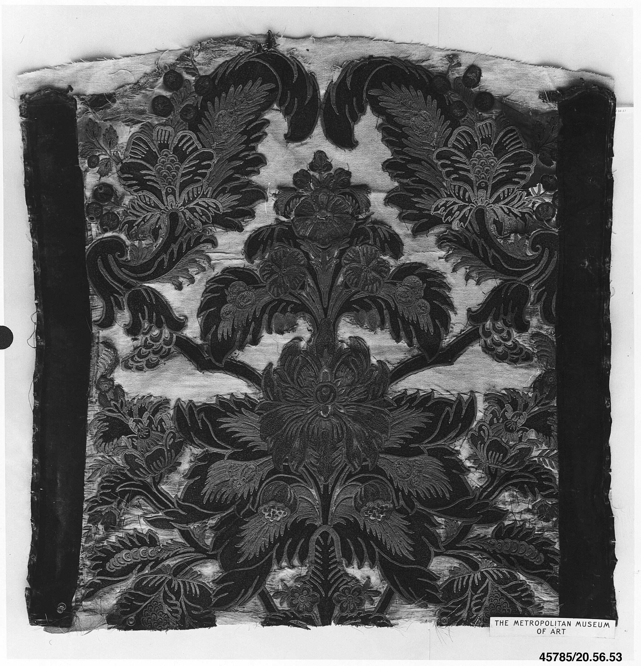 Sartorial Specimen