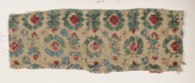 Sartorial Specimen