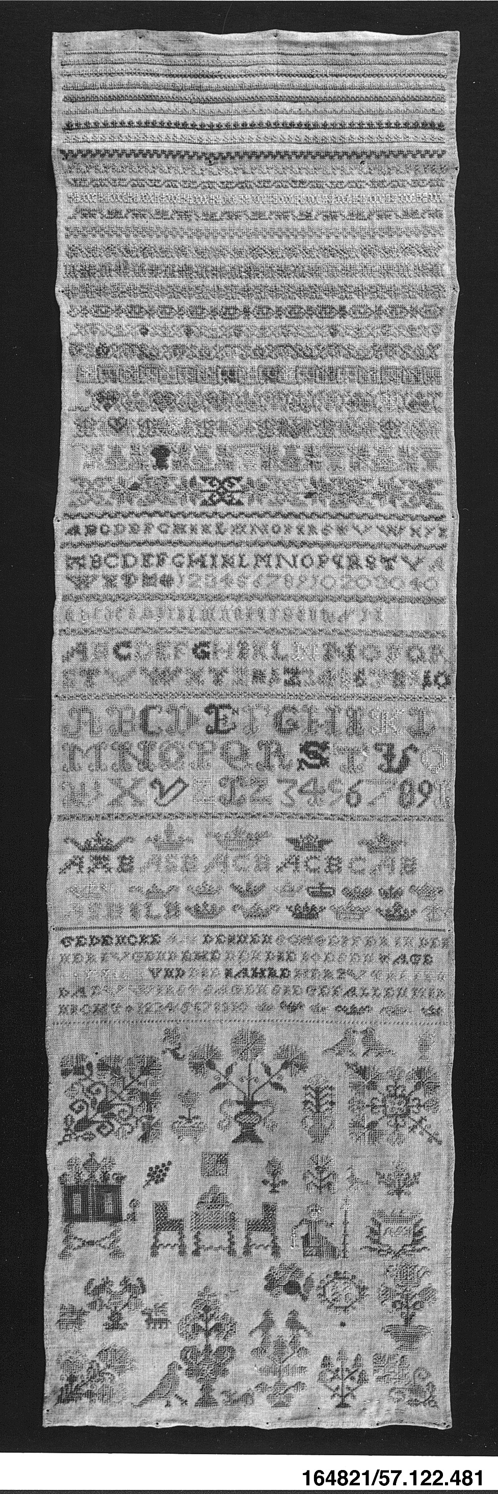Sartorial Specimen