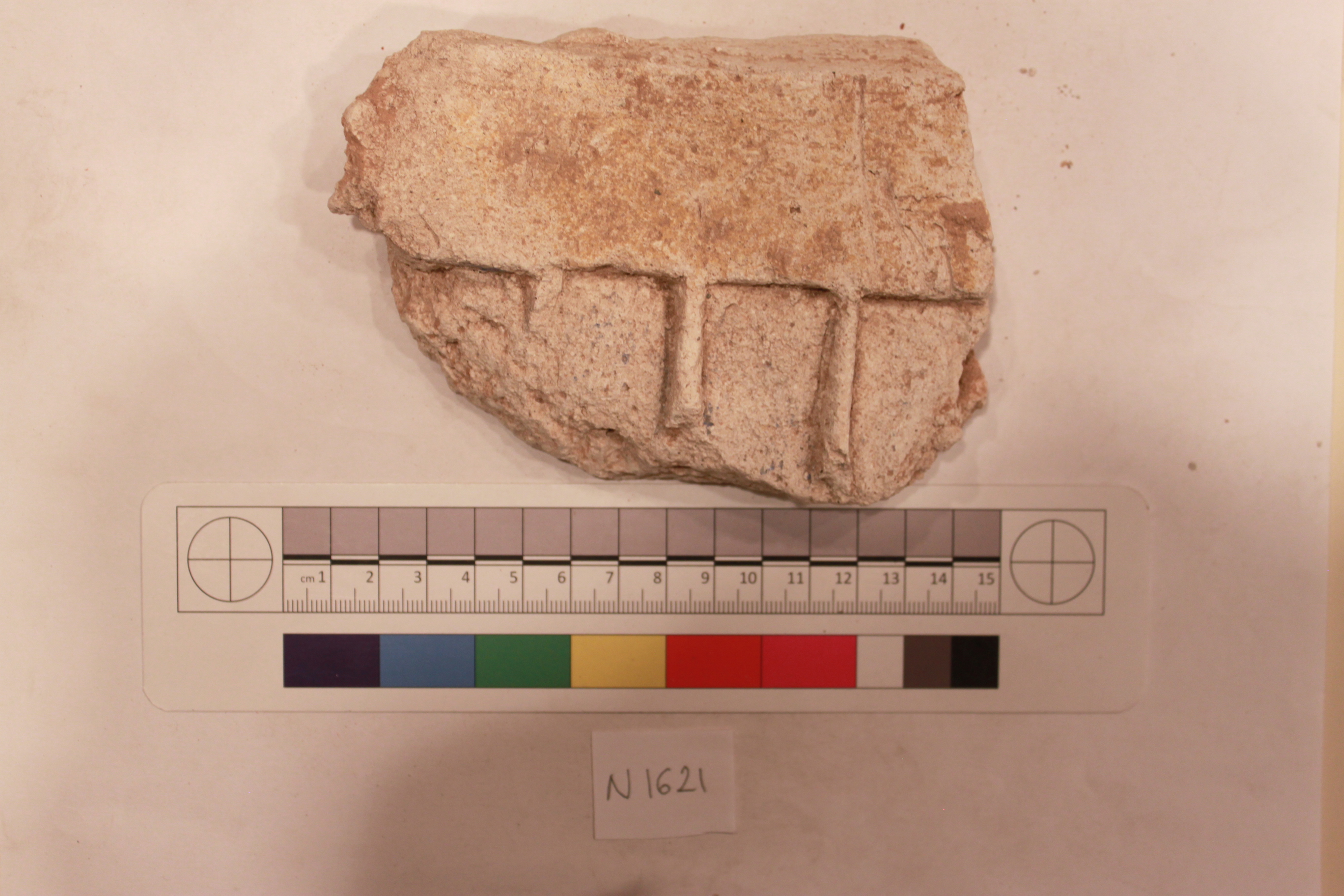 Sartorial Specimen