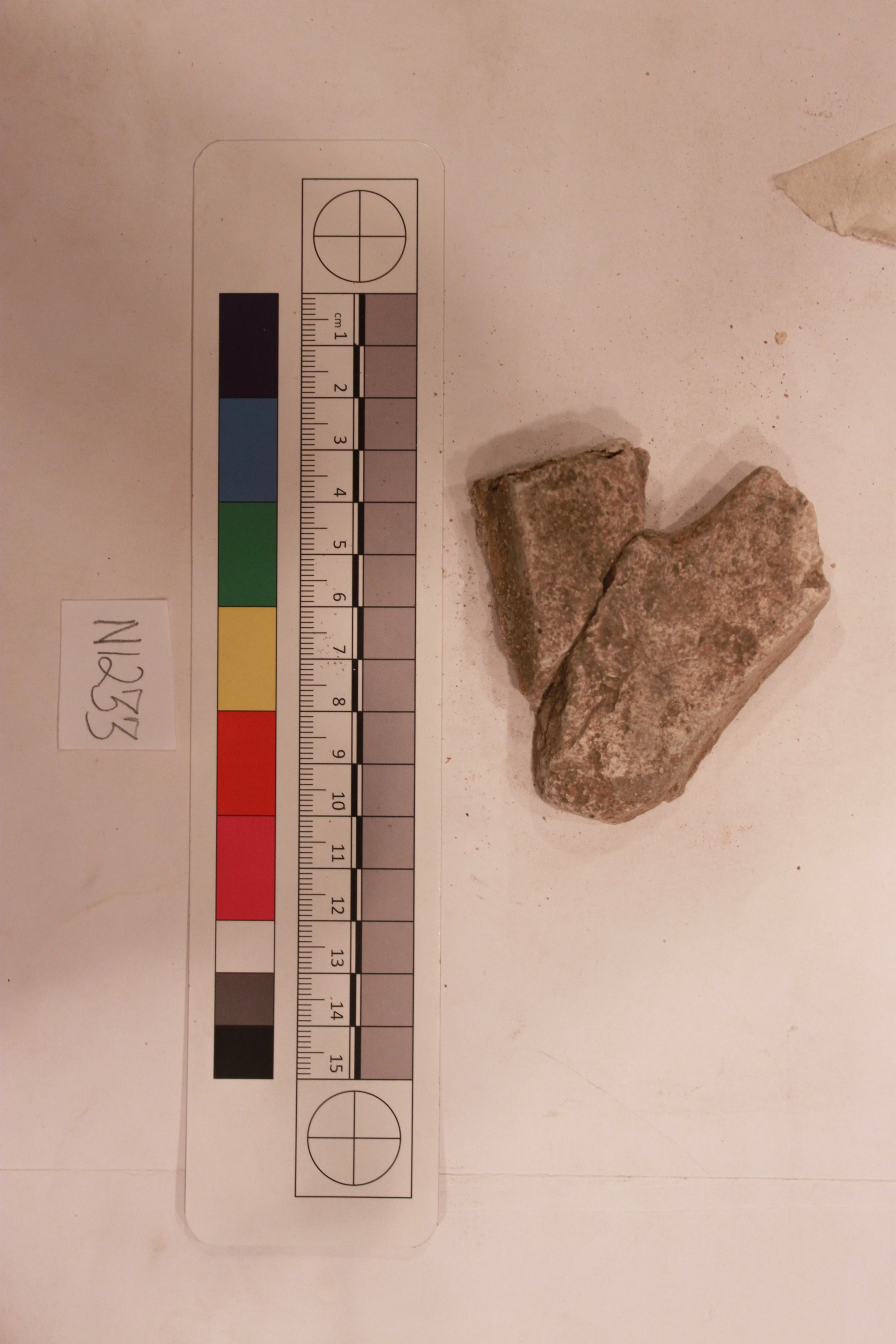 Sartorial Specimen