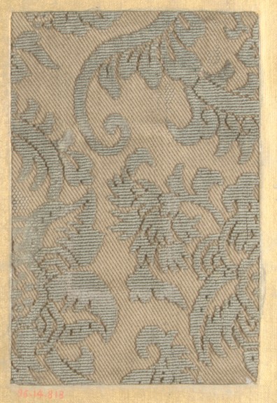Sartorial Specimen