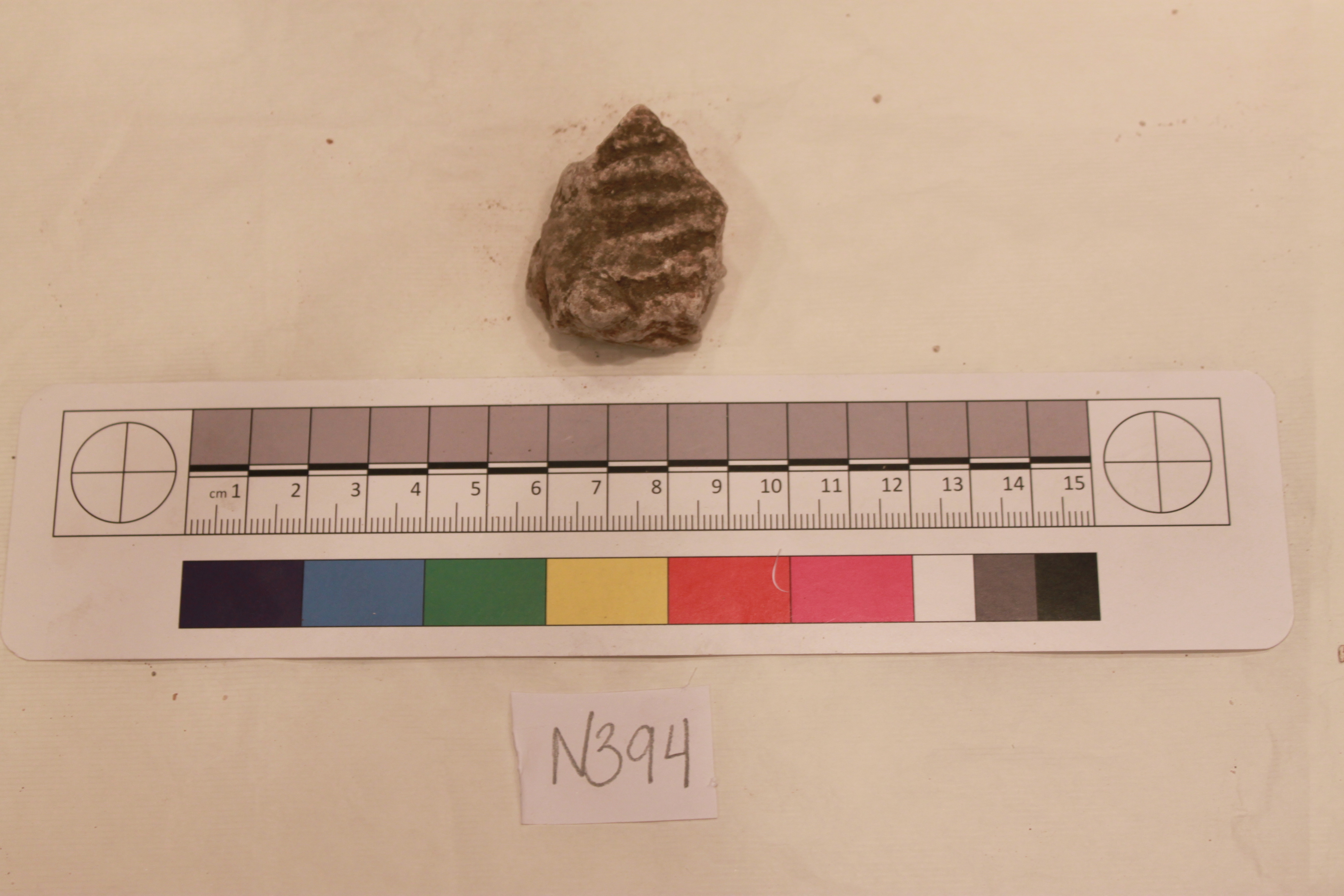 Sartorial Specimen