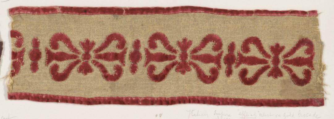 Sartorial Specimen