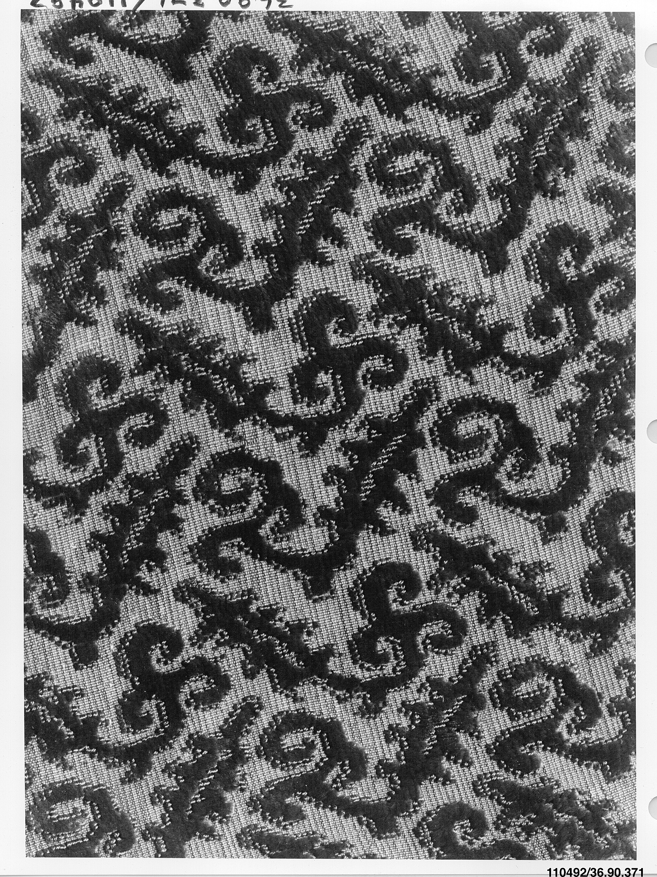 Sartorial Specimen