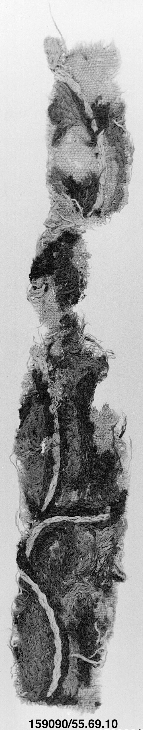 Sartorial Specimen
