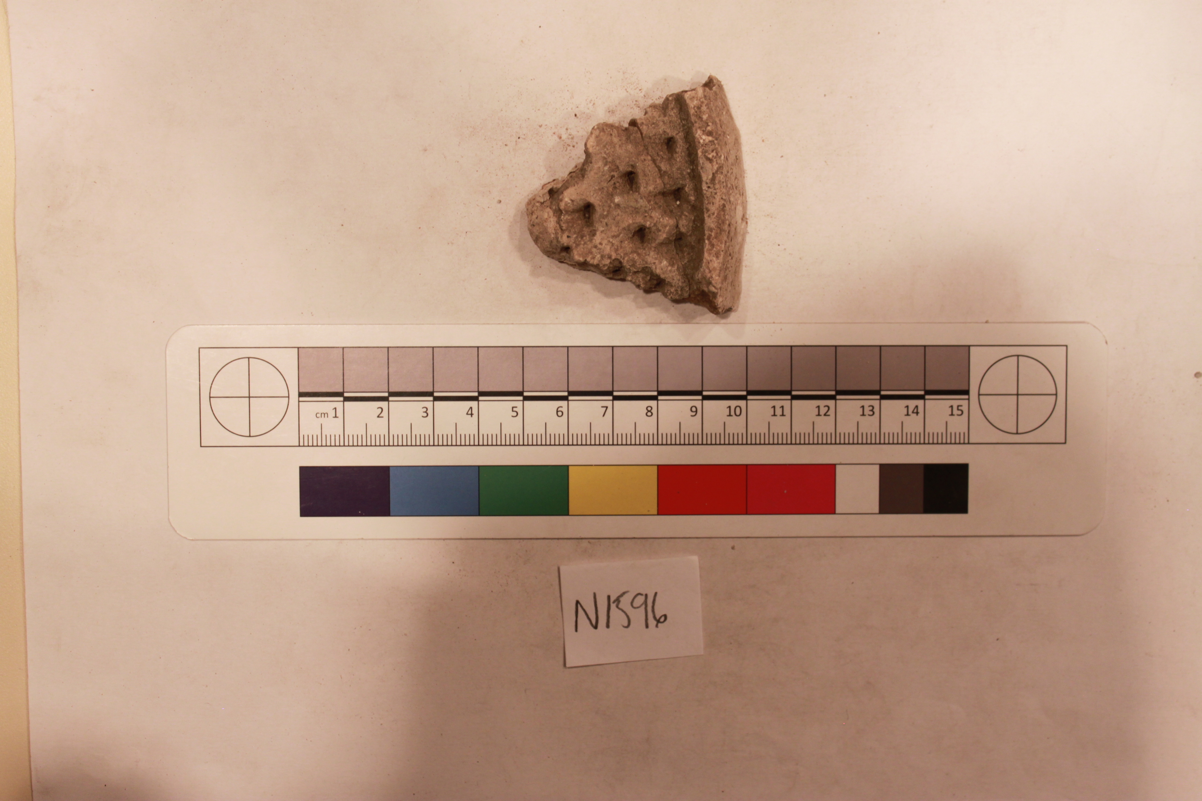 Sartorial Specimen