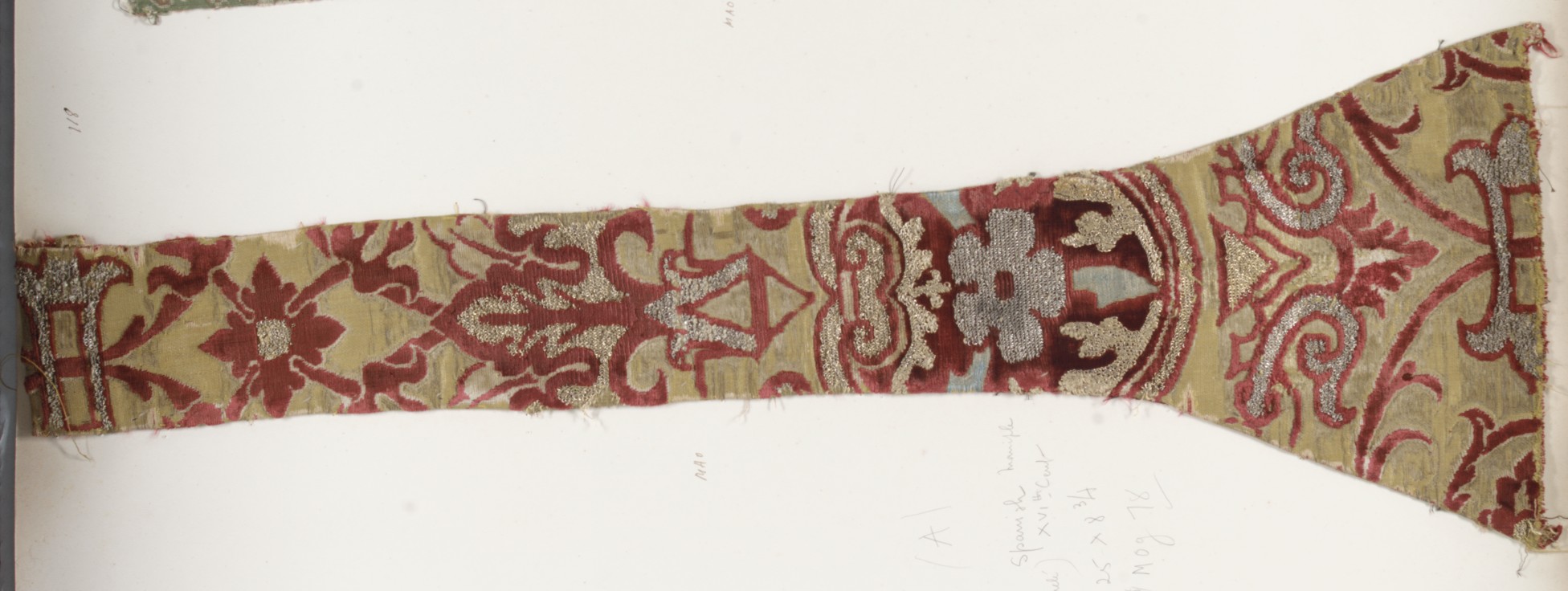 Sartorial Specimen