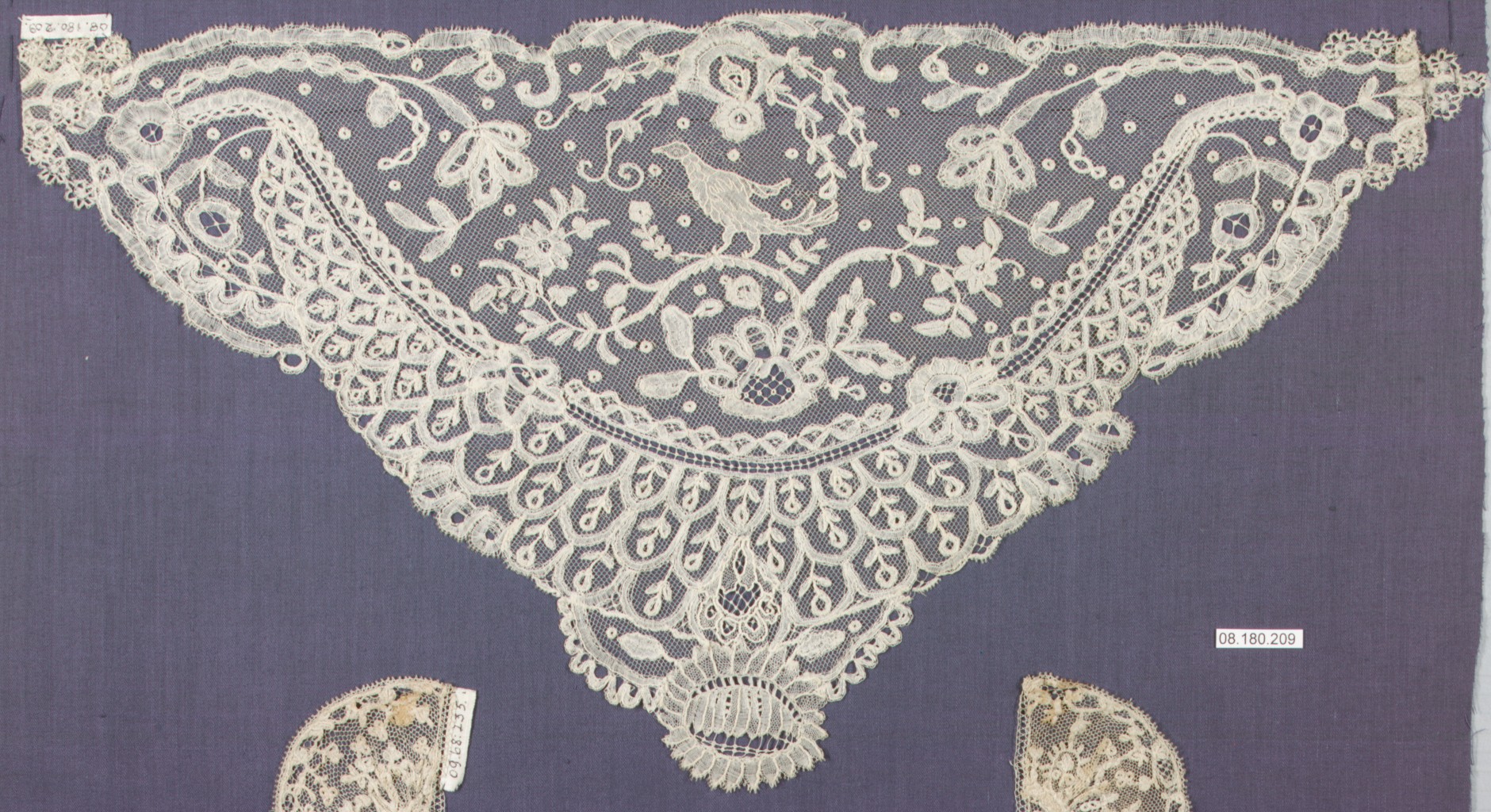 Sartorial Specimen