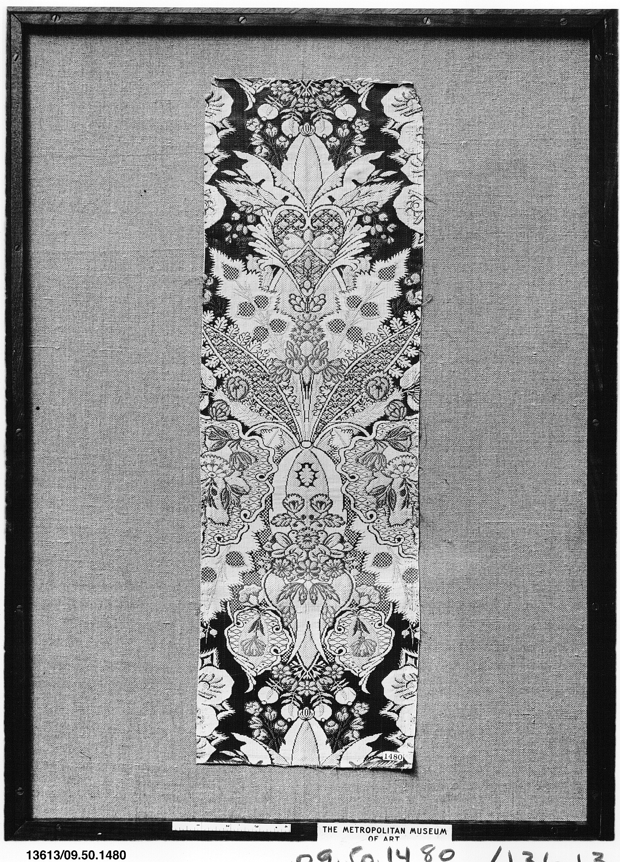 Sartorial Specimen