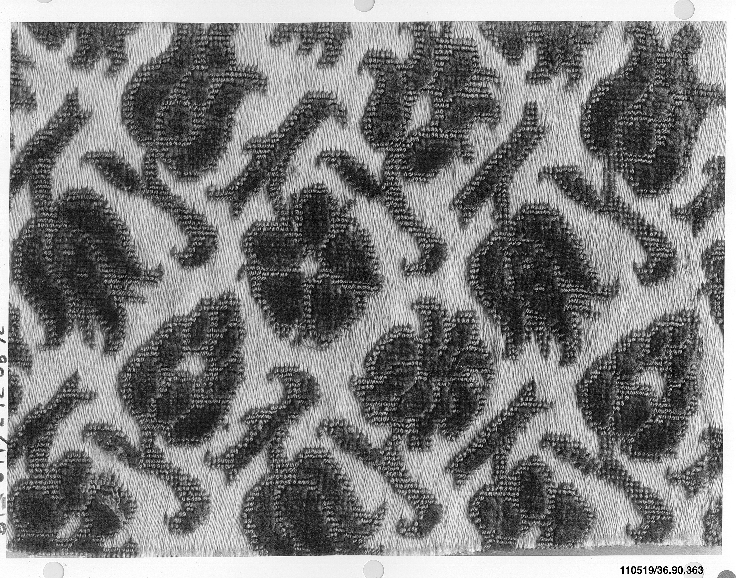 Sartorial Specimen