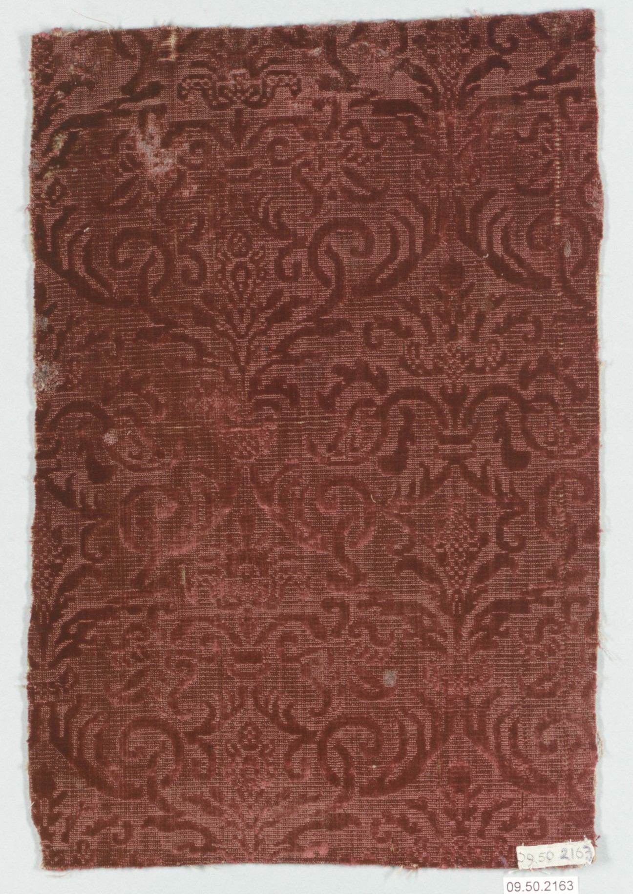 Sartorial Specimen