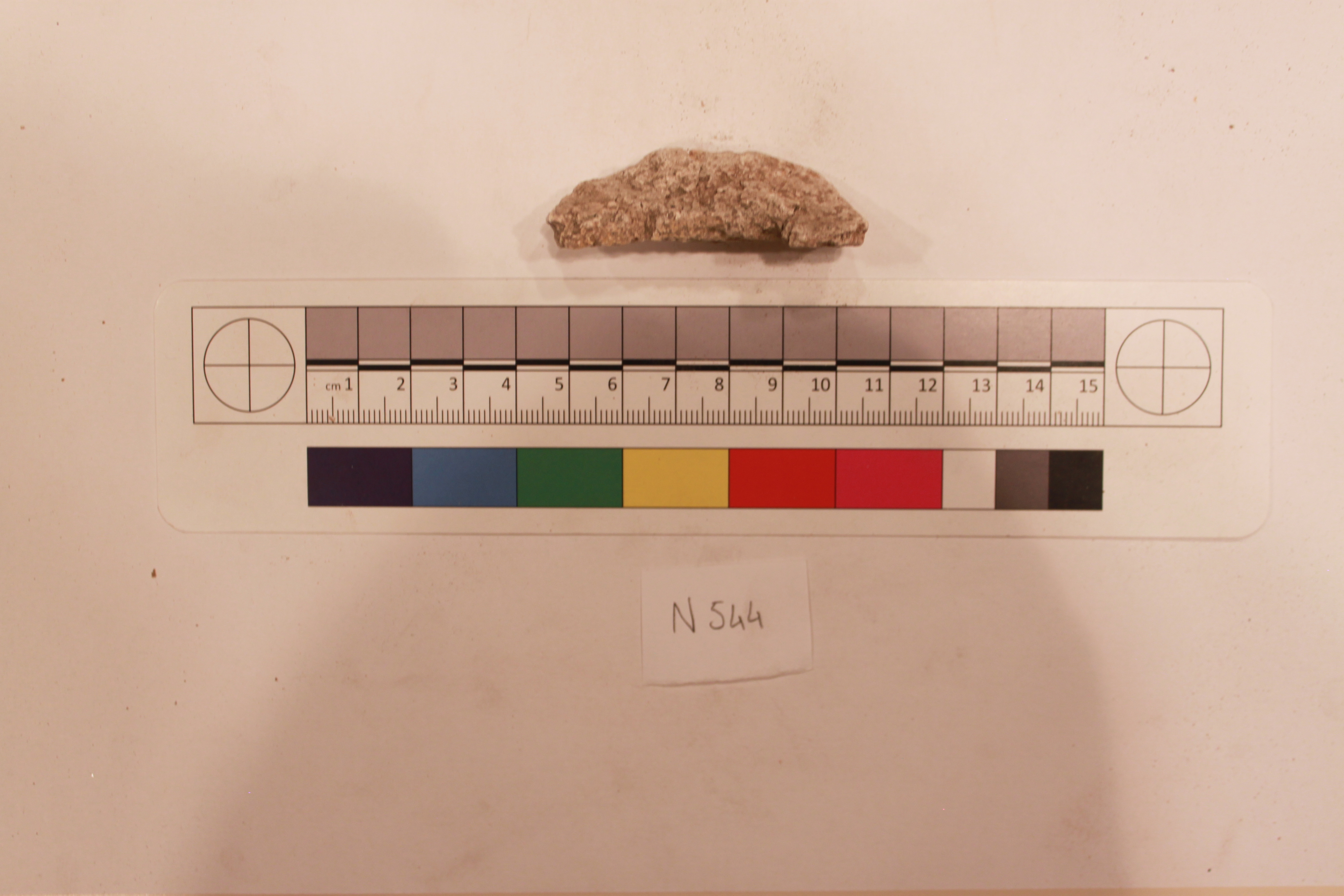 Sartorial Specimen
