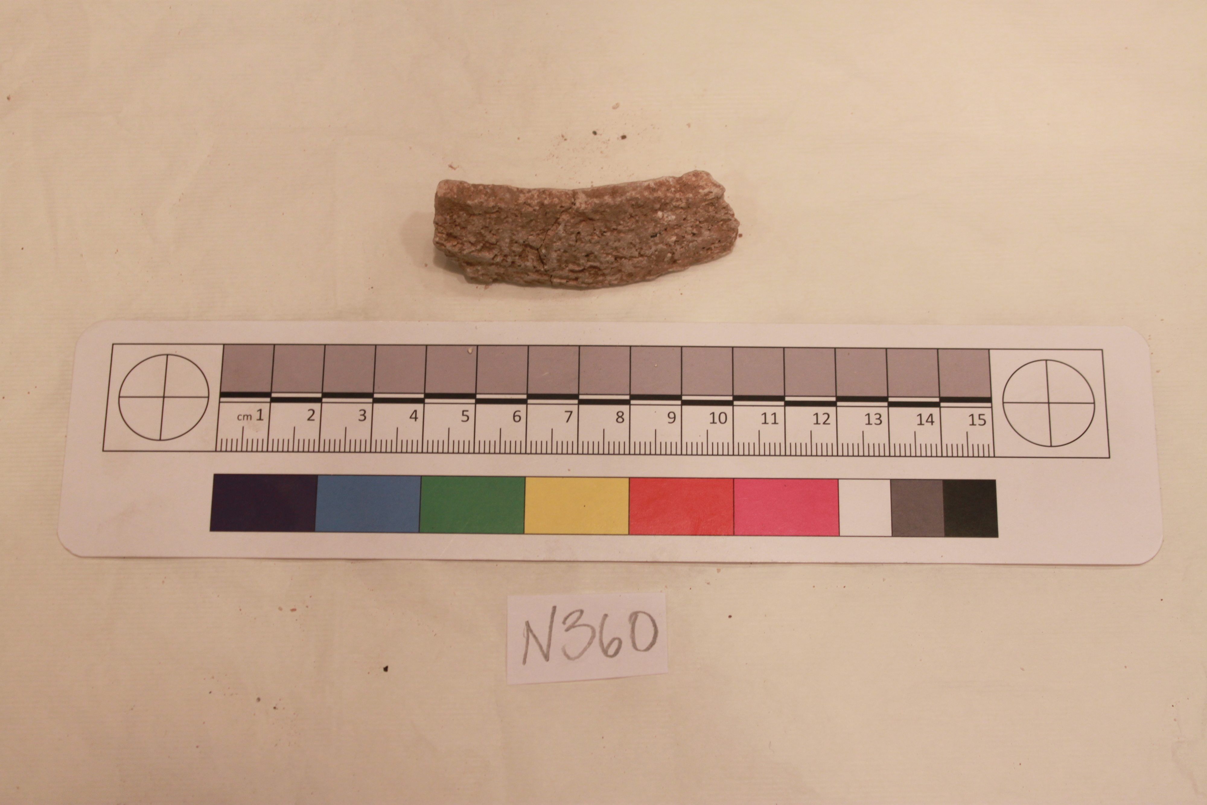 Sartorial Specimen
