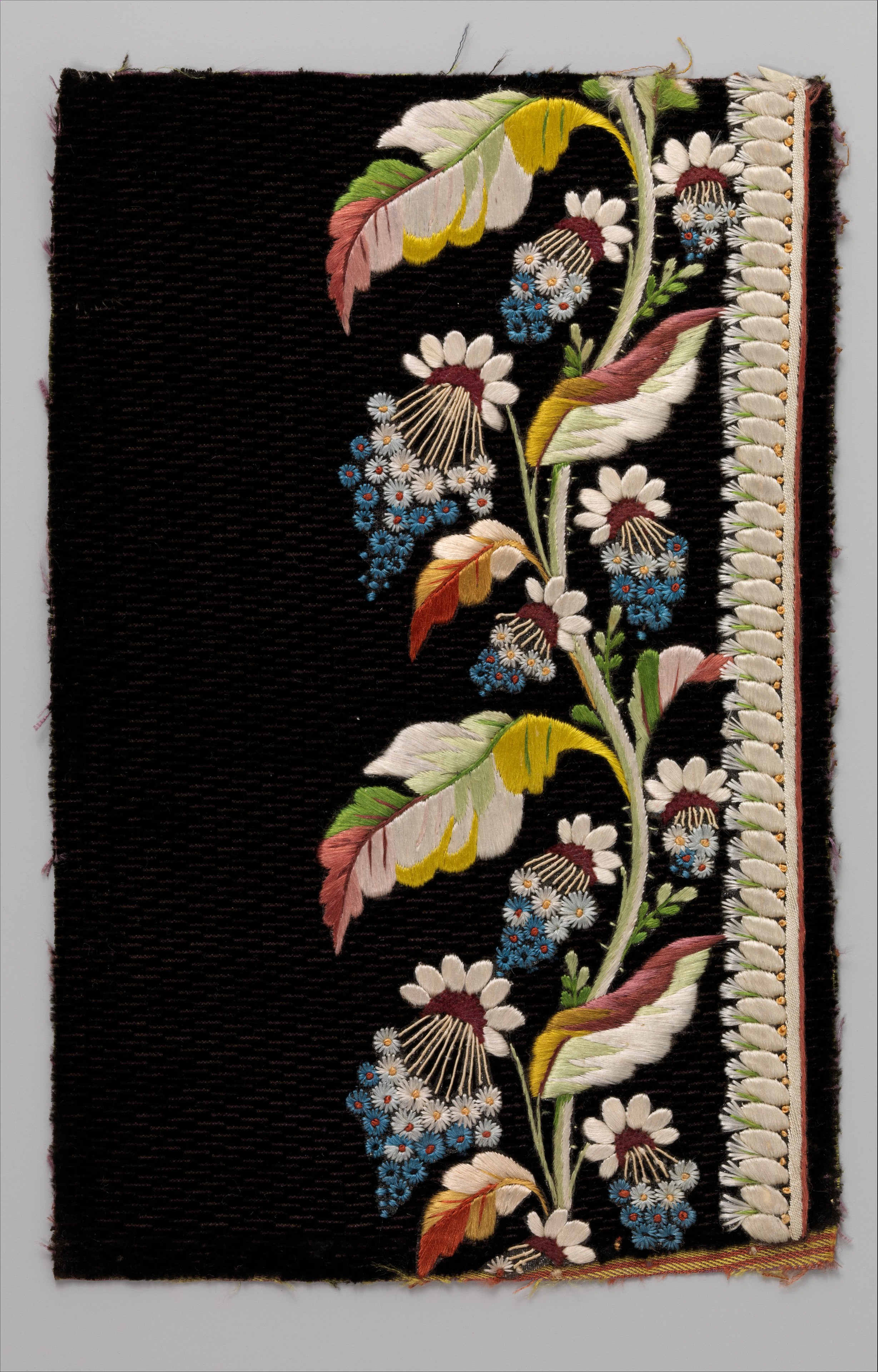 Sartorial Specimen