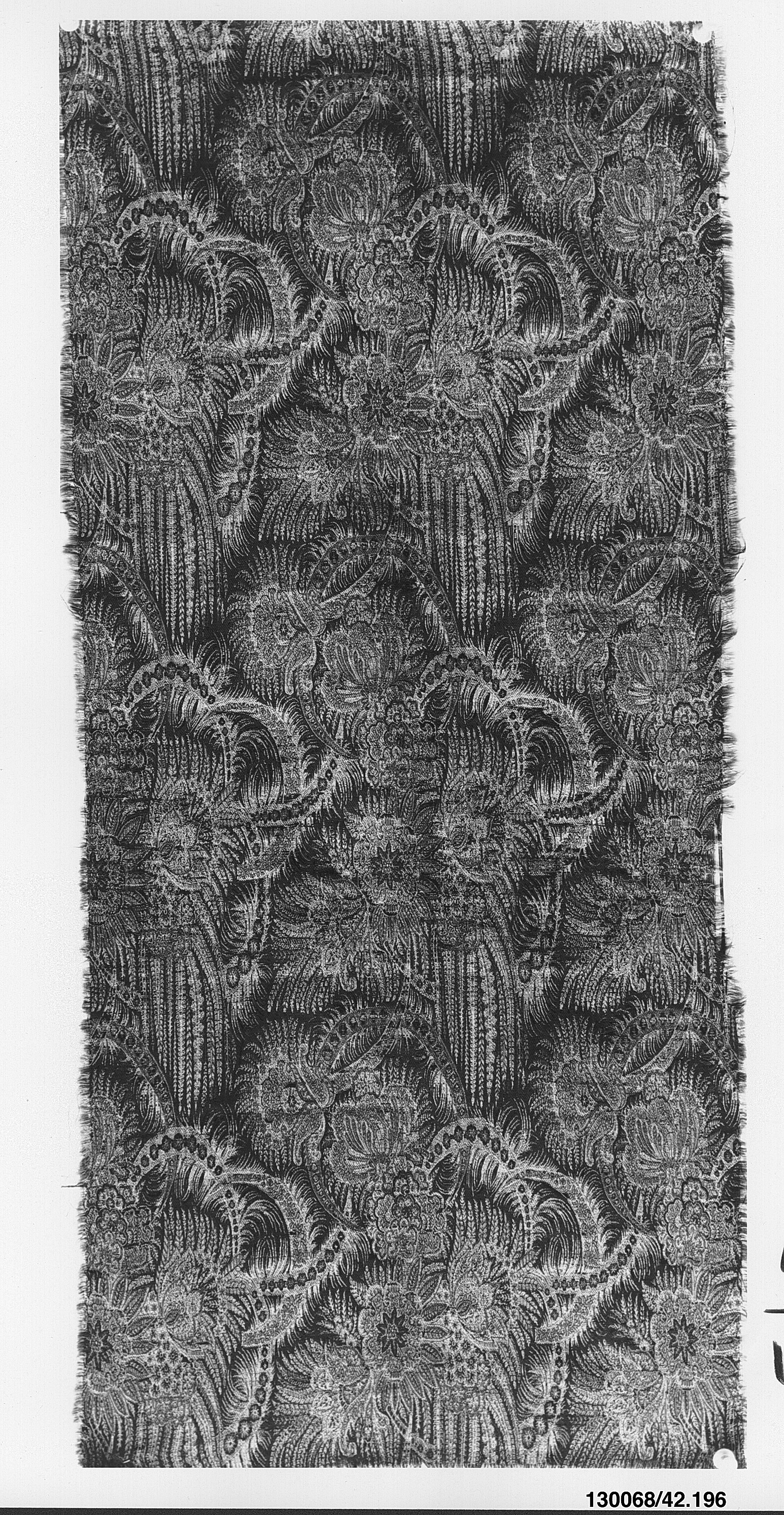 Sartorial Specimen