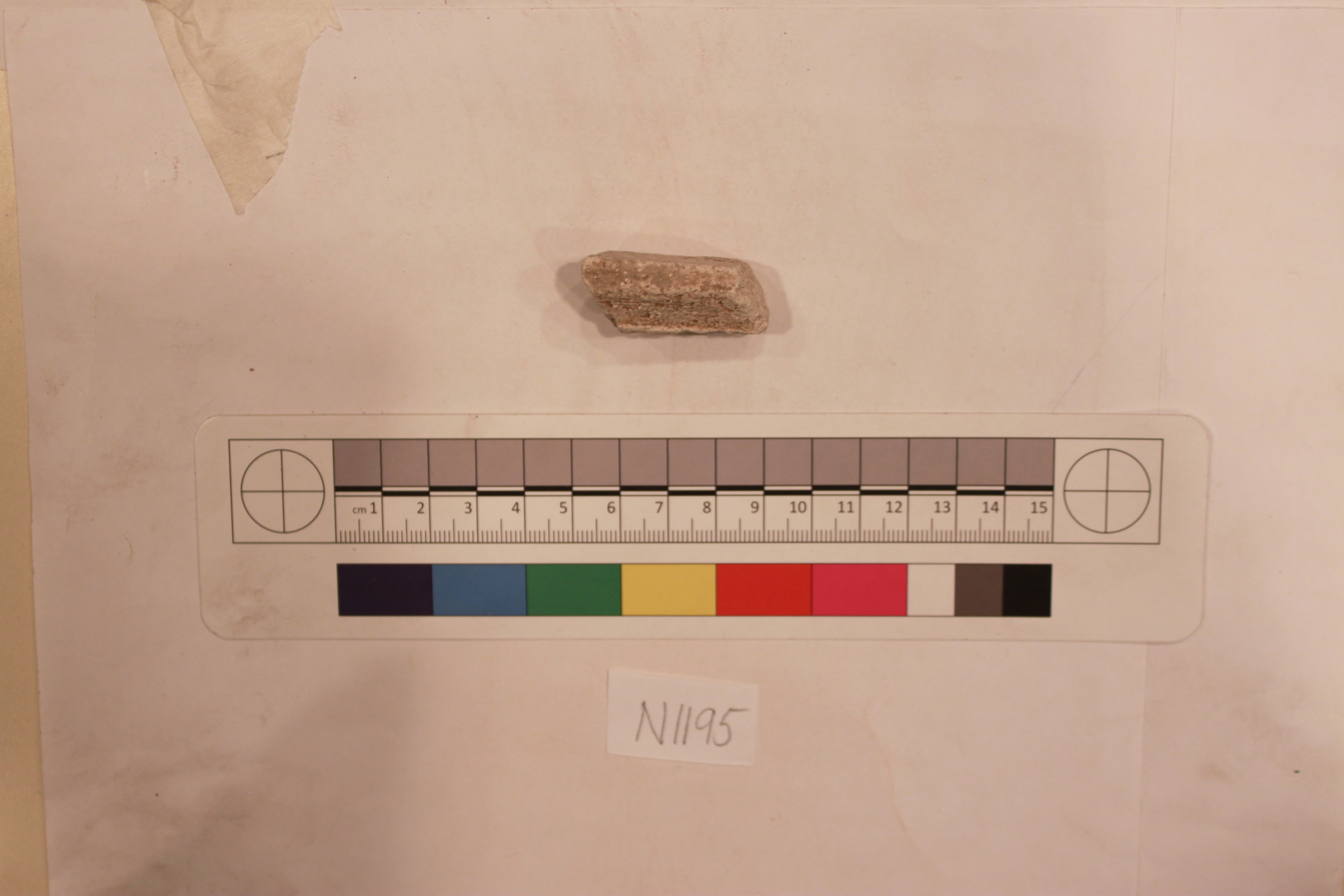 Sartorial Specimen