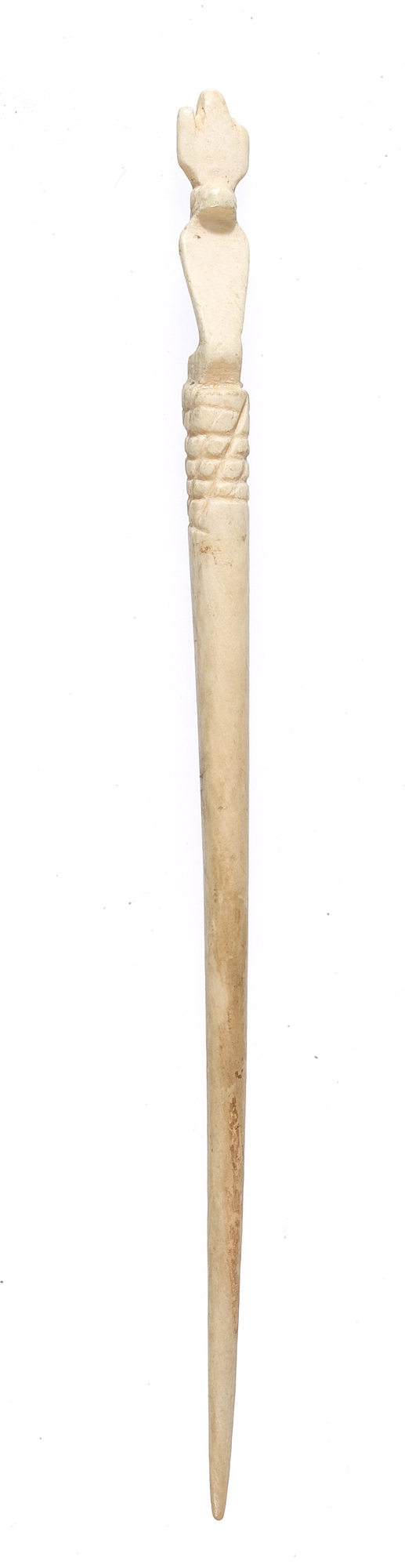 Sartorial Specimen
