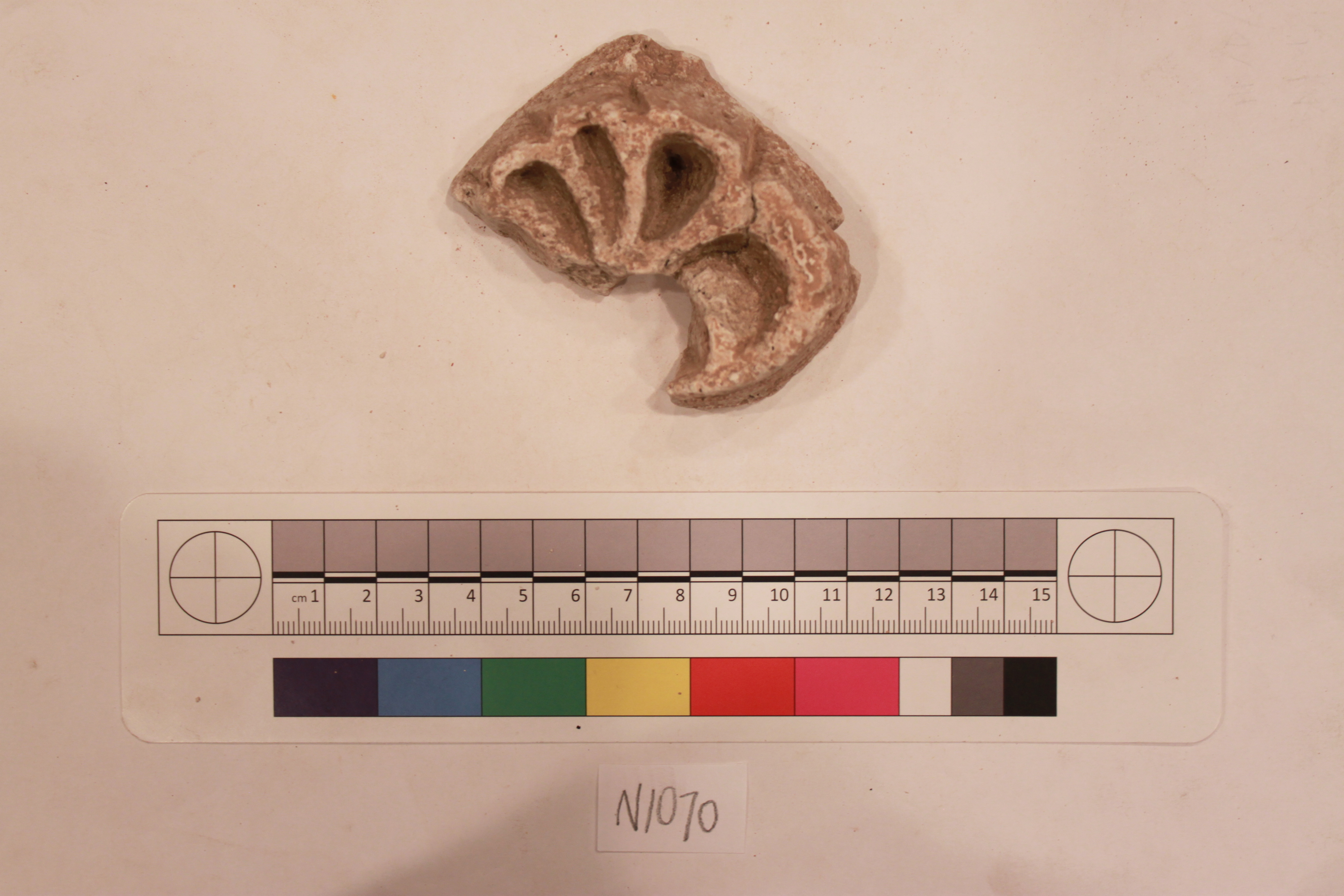 Sartorial Specimen