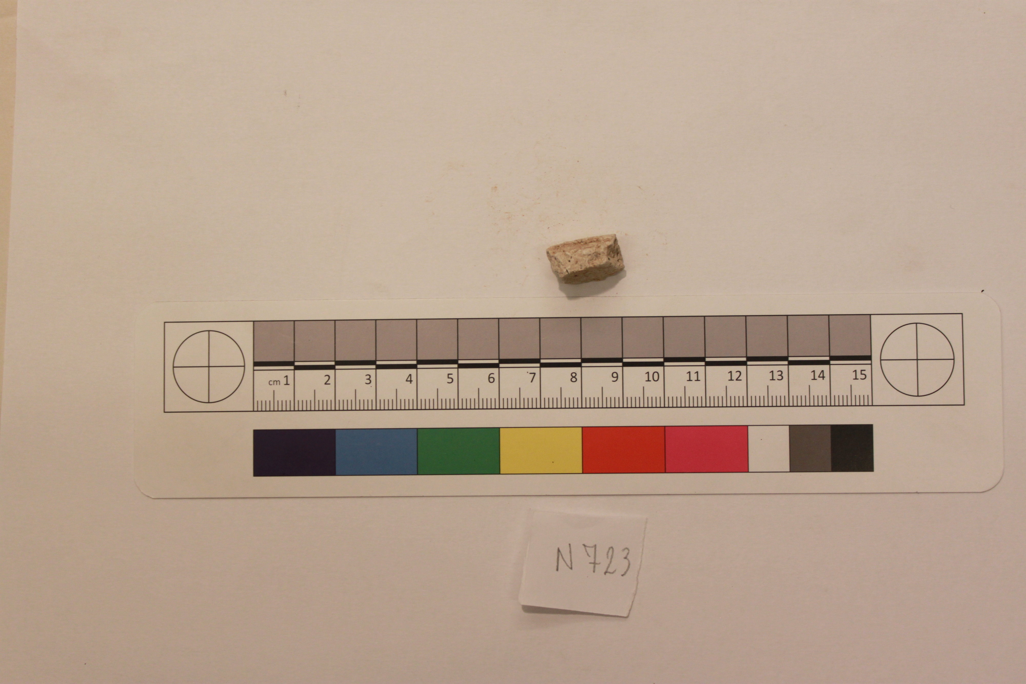 Sartorial Specimen