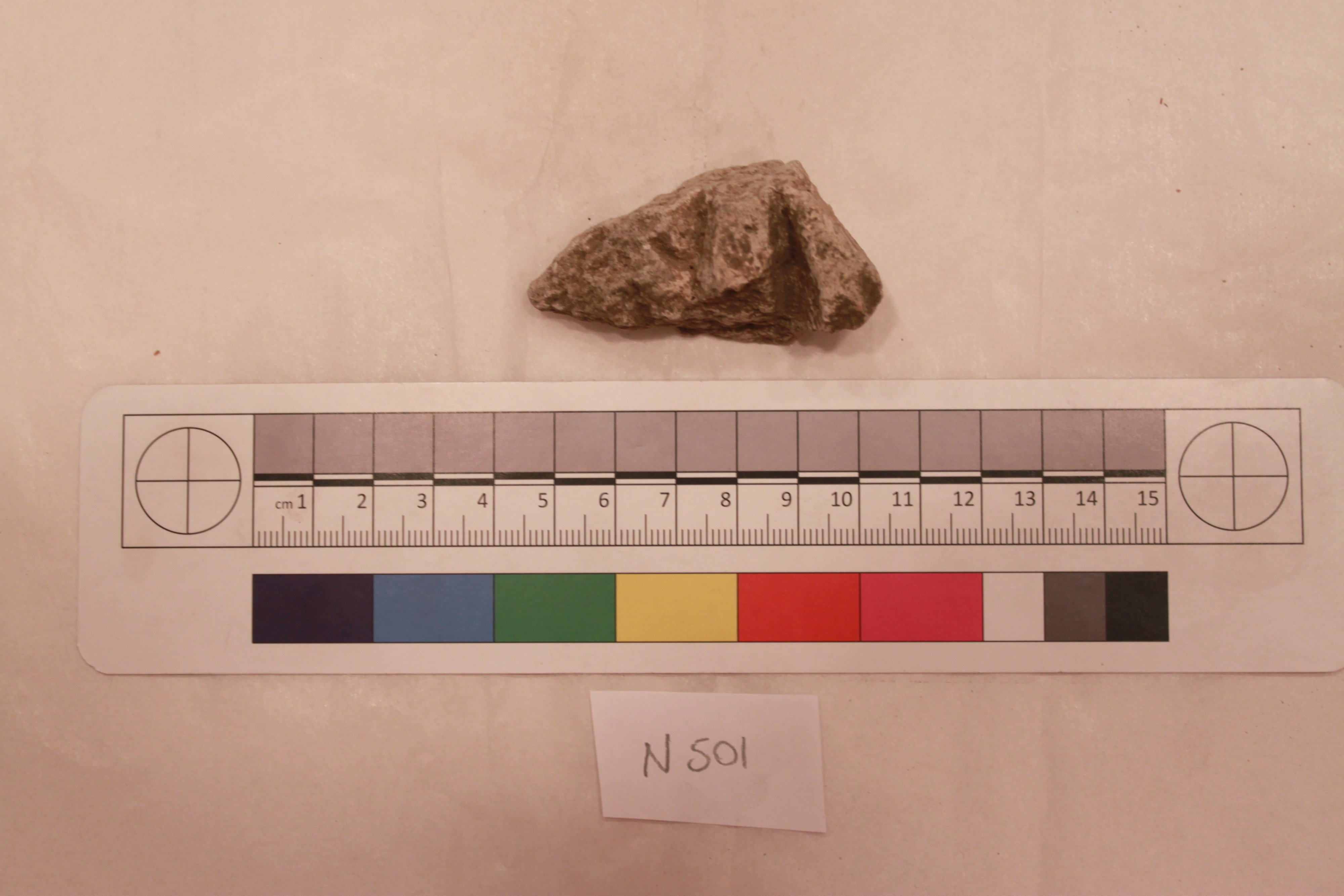 Sartorial Specimen