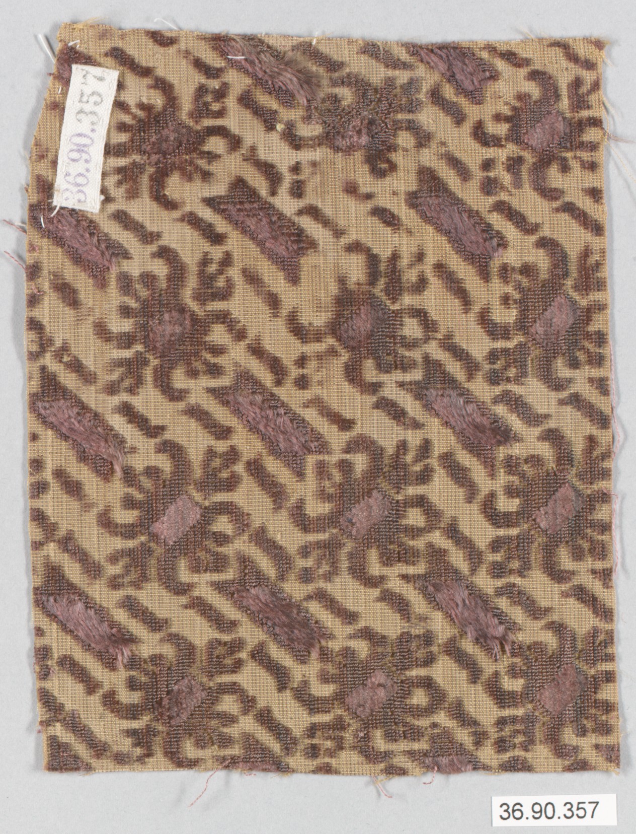 Sartorial Specimen