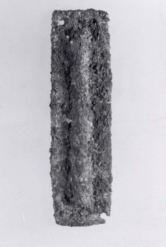 Sartorial Specimen