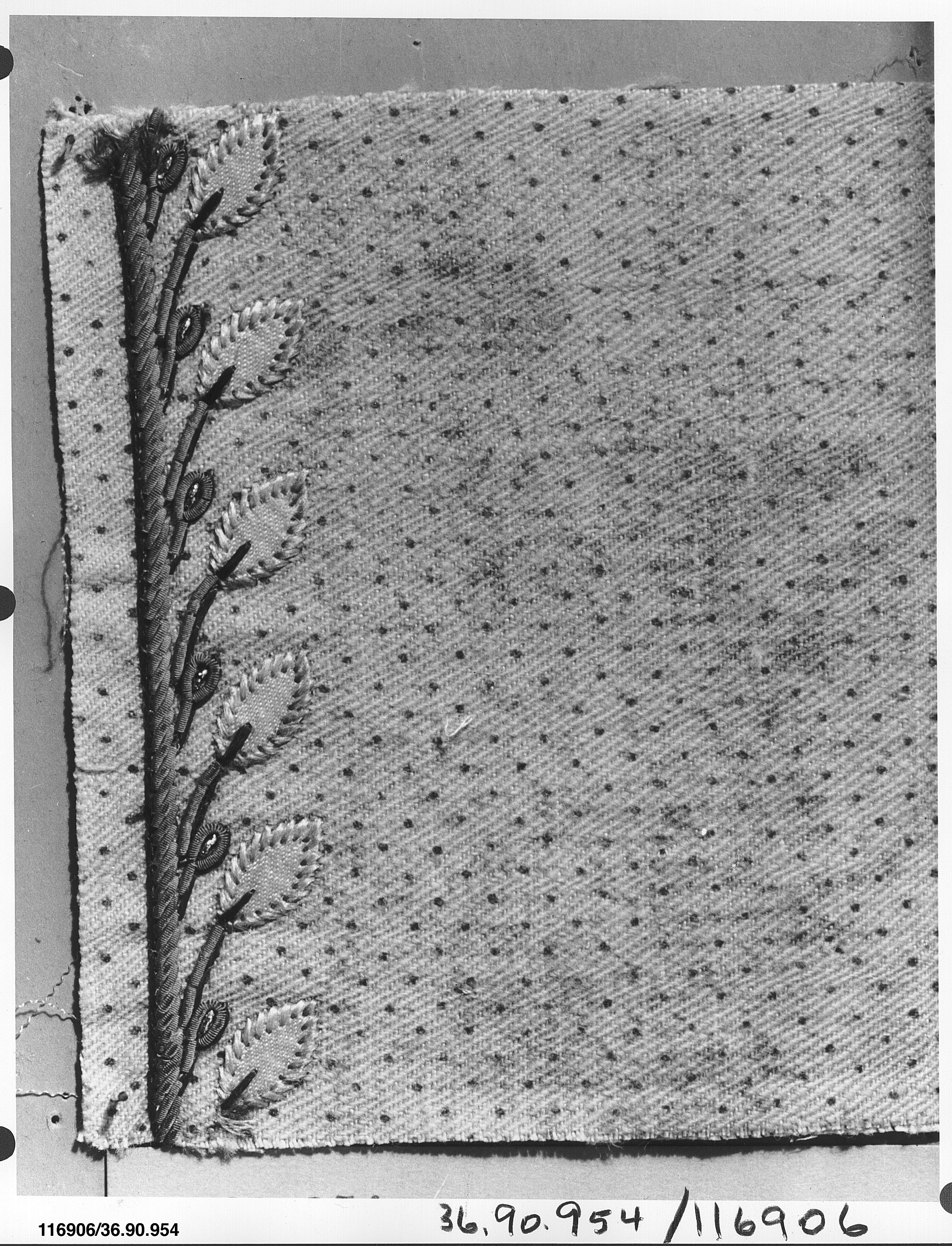 Sartorial Specimen