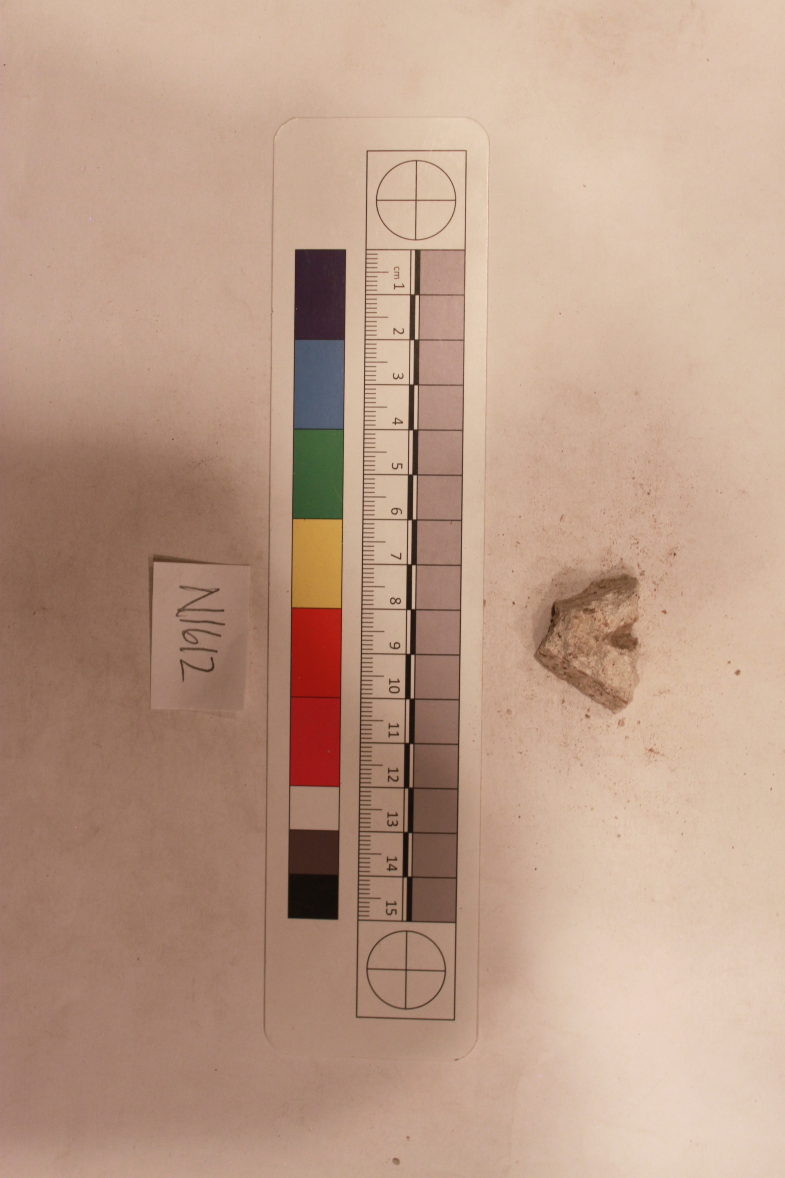 Sartorial Specimen